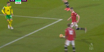 动画 (393).gif